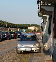 PAVIA. striscione Borgo: Bursàn pagura