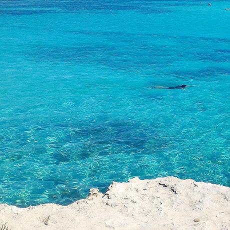 Ad esempio a me piace il Sud: Favignana tra mare e cibo