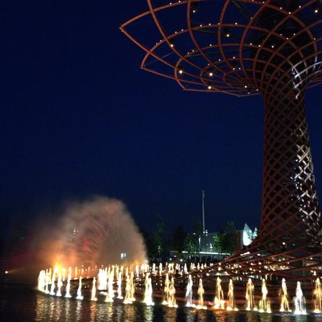 Expo Milano 2015: cosa vedere e dove mangiare + info utili