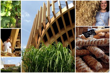 Expo Milano 2015: cosa vedere e dove mangiare + info utili