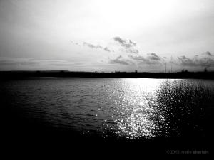 sea_landscape_bw_43