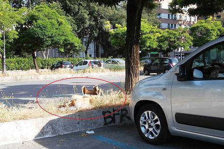 Il punto sulla situazione di Piazza Mancini. Potrebbe essere uno spazio pubblico di pregio, è una landa usurpata da alcolizzati