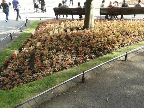 60 foto per rifarsi gli occhi girando tra i parchi di Dublino. Irlanda in crisi? Come sono giustificabili differenze così abissali tra noi e loro?