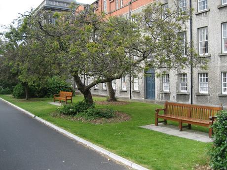 60 foto per rifarsi gli occhi girando tra i parchi di Dublino. Irlanda in crisi? Come sono giustificabili differenze così abissali tra noi e loro?