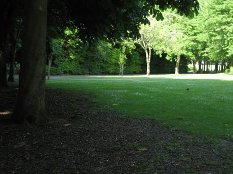 60 foto per rifarsi gli occhi girando tra i parchi di Dublino. Irlanda in crisi? Come sono giustificabili differenze così abissali tra noi e loro?