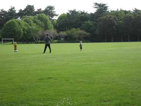 60 foto per rifarsi gli occhi girando tra i parchi di Dublino. Irlanda in crisi? Come sono giustificabili differenze così abissali tra noi e loro?