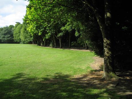 60 foto per rifarsi gli occhi girando tra i parchi di Dublino. Irlanda in crisi? Come sono giustificabili differenze così abissali tra noi e loro?