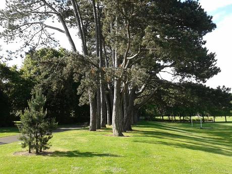 60 foto per rifarsi gli occhi girando tra i parchi di Dublino. Irlanda in crisi? Come sono giustificabili differenze così abissali tra noi e loro?