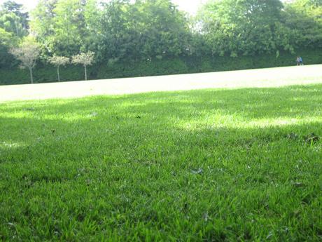 60 foto per rifarsi gli occhi girando tra i parchi di Dublino. Irlanda in crisi? Come sono giustificabili differenze così abissali tra noi e loro?