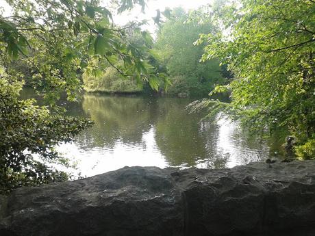 60 foto per rifarsi gli occhi girando tra i parchi di Dublino. Irlanda in crisi? Come sono giustificabili differenze così abissali tra noi e loro?