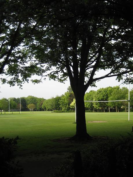 60 foto per rifarsi gli occhi girando tra i parchi di Dublino. Irlanda in crisi? Come sono giustificabili differenze così abissali tra noi e loro?