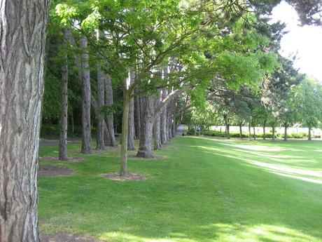 60 foto per rifarsi gli occhi girando tra i parchi di Dublino. Irlanda in crisi? Come sono giustificabili differenze così abissali tra noi e loro?