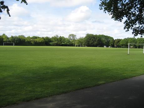 60 foto per rifarsi gli occhi girando tra i parchi di Dublino. Irlanda in crisi? Come sono giustificabili differenze così abissali tra noi e loro?