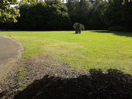 60 foto per rifarsi gli occhi girando tra i parchi di Dublino. Irlanda in crisi? Come sono giustificabili differenze così abissali tra noi e loro?