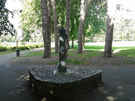 60 foto per rifarsi gli occhi girando tra i parchi di Dublino. Irlanda in crisi? Come sono giustificabili differenze così abissali tra noi e loro?