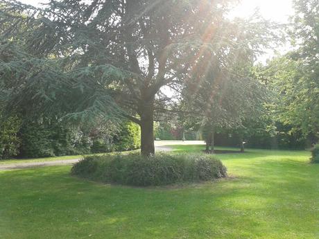 60 foto per rifarsi gli occhi girando tra i parchi di Dublino. Irlanda in crisi? Come sono giustificabili differenze così abissali tra noi e loro?