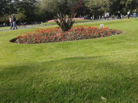 60 foto per rifarsi gli occhi girando tra i parchi di Dublino. Irlanda in crisi? Come sono giustificabili differenze così abissali tra noi e loro?