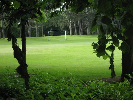 60 foto per rifarsi gli occhi girando tra i parchi di Dublino. Irlanda in crisi? Come sono giustificabili differenze così abissali tra noi e loro?