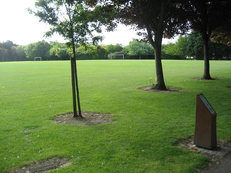 60 foto per rifarsi gli occhi girando tra i parchi di Dublino. Irlanda in crisi? Come sono giustificabili differenze così abissali tra noi e loro?