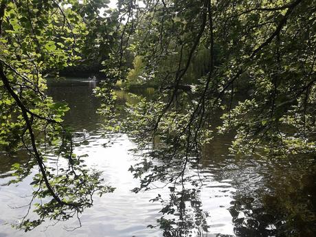 60 foto per rifarsi gli occhi girando tra i parchi di Dublino. Irlanda in crisi? Come sono giustificabili differenze così abissali tra noi e loro?