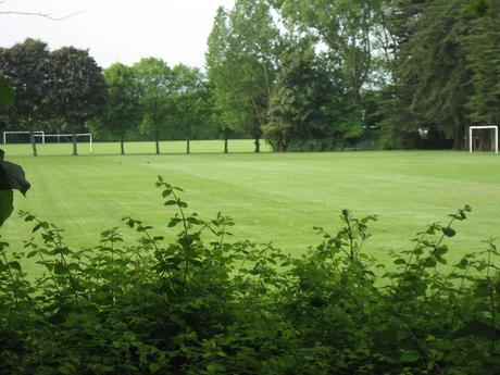 60 foto per rifarsi gli occhi girando tra i parchi di Dublino. Irlanda in crisi? Come sono giustificabili differenze così abissali tra noi e loro?