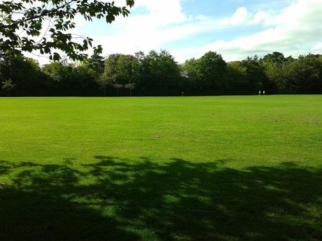 60 foto per rifarsi gli occhi girando tra i parchi di Dublino. Irlanda in crisi? Come sono giustificabili differenze così abissali tra noi e loro?