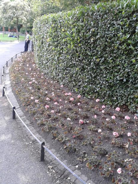 60 foto per rifarsi gli occhi girando tra i parchi di Dublino. Irlanda in crisi? Come sono giustificabili differenze così abissali tra noi e loro?