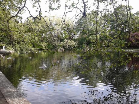 60 foto per rifarsi gli occhi girando tra i parchi di Dublino. Irlanda in crisi? Come sono giustificabili differenze così abissali tra noi e loro?