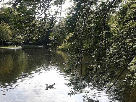 60 foto per rifarsi gli occhi girando tra i parchi di Dublino. Irlanda in crisi? Come sono giustificabili differenze così abissali tra noi e loro?