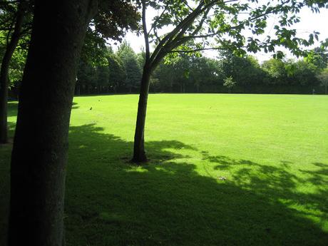 60 foto per rifarsi gli occhi girando tra i parchi di Dublino. Irlanda in crisi? Come sono giustificabili differenze così abissali tra noi e loro?