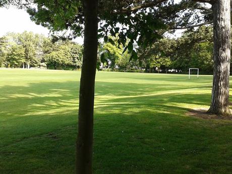 60 foto per rifarsi gli occhi girando tra i parchi di Dublino. Irlanda in crisi? Come sono giustificabili differenze così abissali tra noi e loro?