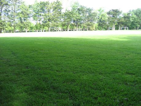 60 foto per rifarsi gli occhi girando tra i parchi di Dublino. Irlanda in crisi? Come sono giustificabili differenze così abissali tra noi e loro?