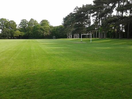 60 foto per rifarsi gli occhi girando tra i parchi di Dublino. Irlanda in crisi? Come sono giustificabili differenze così abissali tra noi e loro?