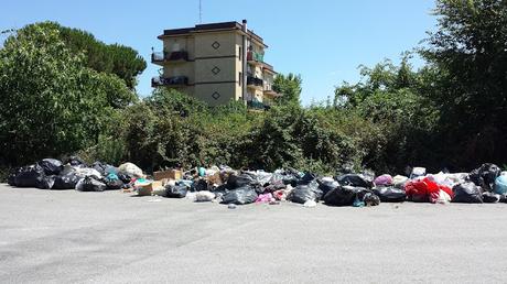 Ecco come i romani reagiscono all'arrivo della raccolta porta a porta. Però poi la colpa è dei politici, no?