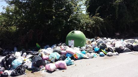 Ecco come i romani reagiscono all'arrivo della raccolta porta a porta. Però poi la colpa è dei politici, no?