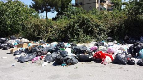 Ecco come i romani reagiscono all'arrivo della raccolta porta a porta. Però poi la colpa è dei politici, no?