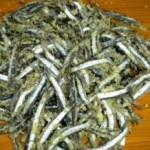 sarde-sardelle-300x218