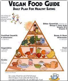 vegan food guide