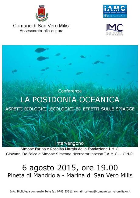 La Poseidonia Oceanica, aspetti biologici, ecologici ed effetti sulle spiagge