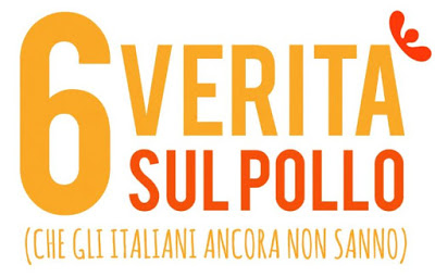 w il pollo!