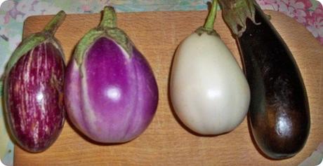 cosa-cucinare-agli-amici-per-cena-guide