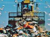 06/08/2015 Rifiuti autorizzazione integrata ambientale: parere disegno legge