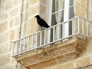 sul mare: Monopoli e Ostuni