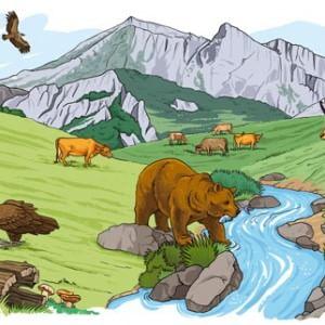 181745796-be4df6ae-892e-43d0-b4e3-741bc5104fbd