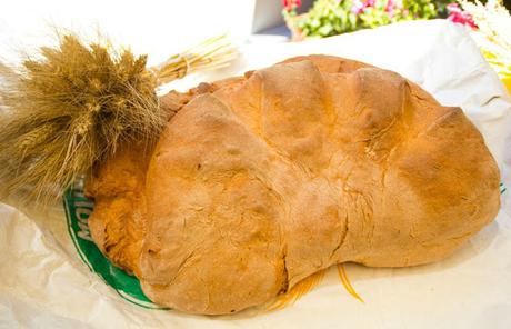 La storia di Matera è scritta nel suo pane. Capunti con crema di melanzane e briciole di peperoni cruschi.