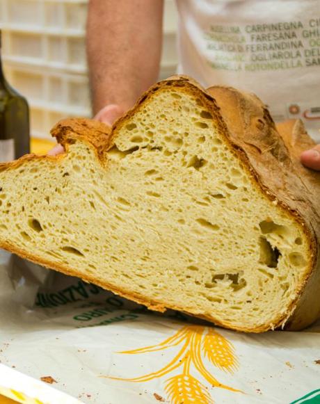 La storia di Matera è scritta nel suo pane. Capunti con crema di melanzane e briciole di peperoni cruschi.