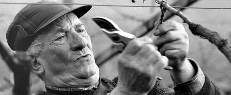 foto archivio Albino Armani - www.albinoarmani.com