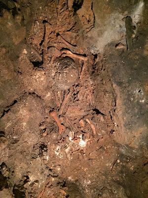 Le grotte carsiche di Toirano: dove l'acqua diventa scultrice.