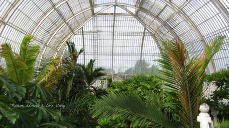 Kew gardens