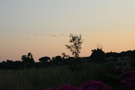 Villasimius. Benvenuti nella magia del Sud.